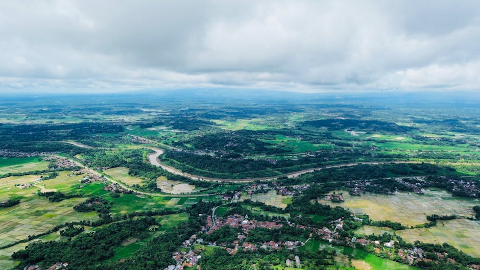 Bisnis Digital Berbasis 5G: Peluang untuk UMKM di Pedesaan