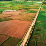 Peluang Bisnis Berkelanjutan: Sampah Plastik untuk UMKM