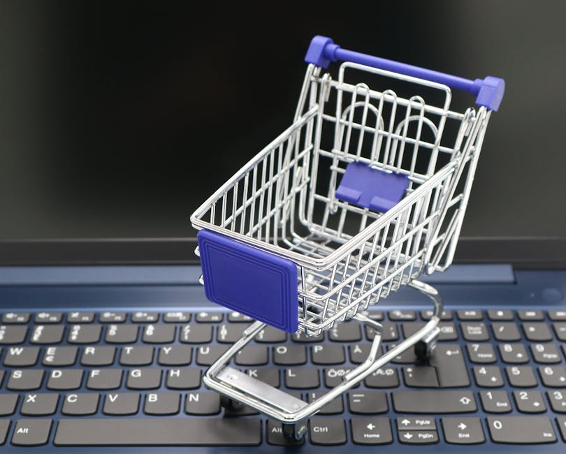 Teknologi e-Commerce untuk Daya Saing UMKM di Era Digital